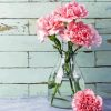 Pink Carnations Glass Vase paint by numbers