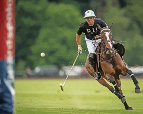 Polo sport player paint by numbers