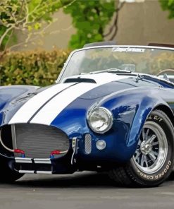 Shelby Cobra paint by numbers