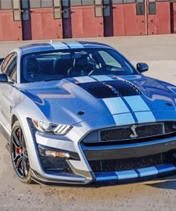Shelby Mustang Paint by numbers