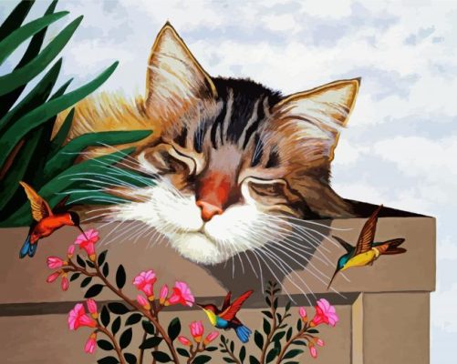 Sleepy Cat And Hummingbirds paint by numbers