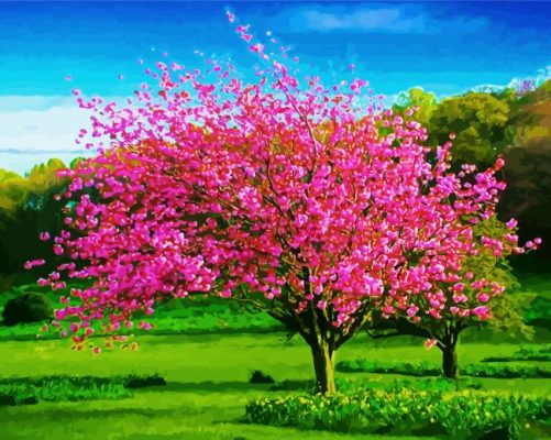 Spring Landscape paint by numbers