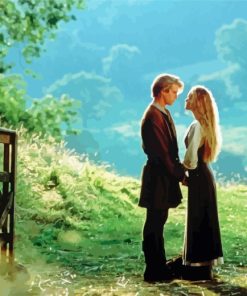 The Princess Bride Romance paint by numbers