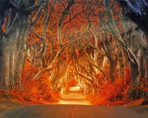 Tree tunnel fall paint by number