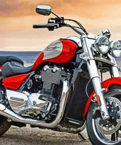 Triumph Thunderbird Motorcycle Paint by numbers
