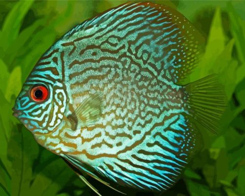 Turquoise Discus fish paint by numbers