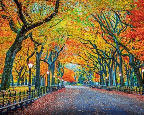 USA Parks Autumn New York paint by numbers 