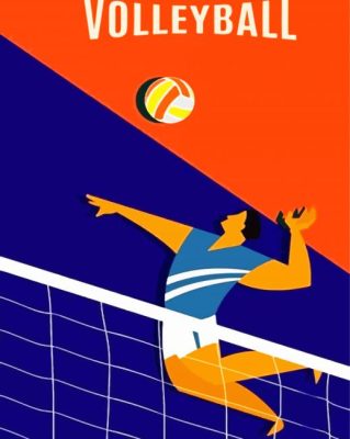 Volleyball Player paint by numbers