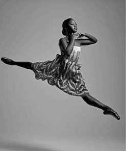 Aesthetic Black Ballerina paint by numbers