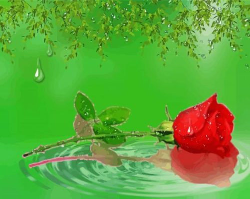 Aesthetic Rose On Water paint by numbers