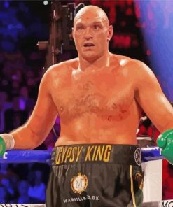 The Boxer Tyson Fury Paint By Number