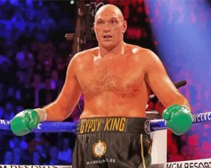 The Boxer Tyson Fury Paint By Number