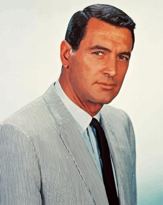American Rock Hudson paint by numbers