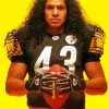 american footballer Troy Polamalu paint by numbers