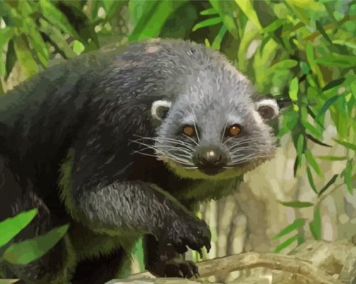 Aesthetic Binturong Animal Paint by numbers 