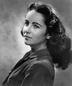 Black And White Elizabeth Taylor paint by numbers paint by numbers