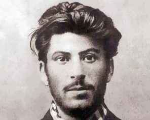 Young Joseph Stalin paint by numbers