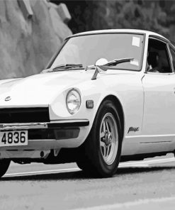 black and white datsun fairlady paint by numbers