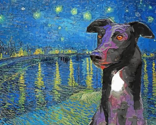 Black Greyhound Van Gogh Starry Night paint by numbers