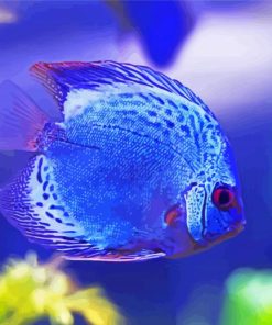 blue Discus fish paint by numbers