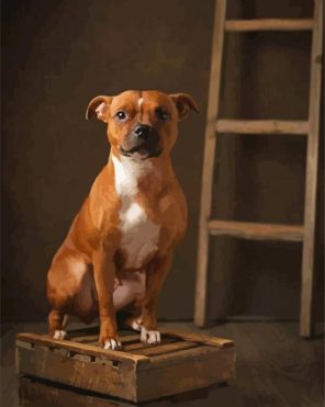Brown Staffordshire Bull Terrier paint by numbers