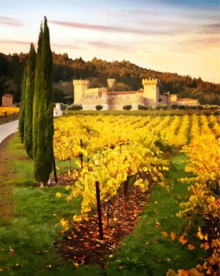Castle Vineyard Napa Valley paint by numbers