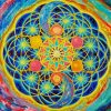 Colorful Flower of Life paint by numbers