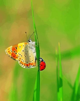 Cute Butterfly And Ladybug paint by numbers 