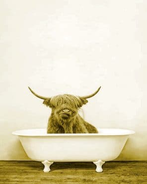 Cute Highland Cow paint by numbers