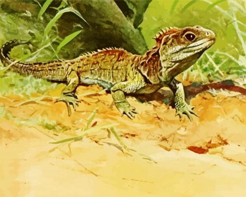 dinosaur lizard new zealand art paint by numbers