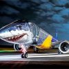 e190 aircraft shark art paint by number