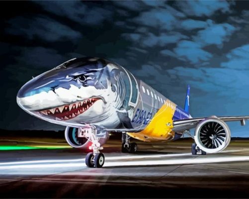 E190 Aircraft Shark Art Paint By Numbers - Numeral Paint Kit