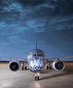 e190 aircraft white tiger art paint by number