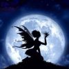 Fairy In Night Moon paint by numbers