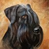 giant schnauzer art paint by numbers
