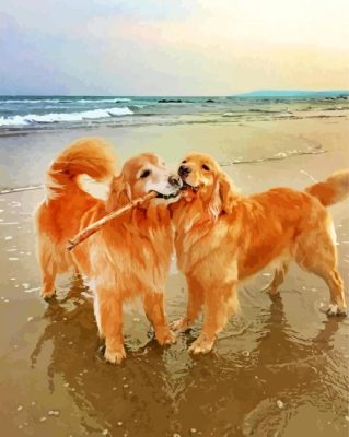 Golden Retrievers paint by number