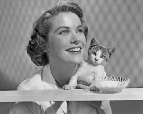 Grace Kelly And Her Kitty paint by numbers 