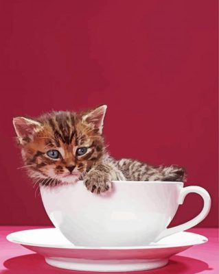 kitten in cup paint by numbers