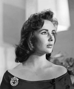 Monochrome Elizabeth Taylor paint by numbers