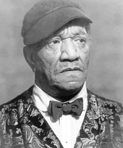 monochrome Redd Foxx paint by numbers