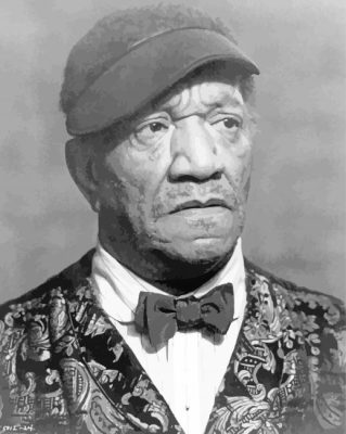 monochrome Redd Foxx paint by numbers