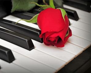 Aesthetic Piano And Red Rose paint by numbers