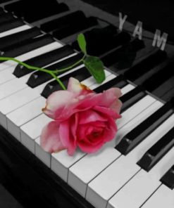 Pink Flower On Piano paint by numbers