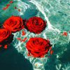 Red Roses On Water paint by numbers