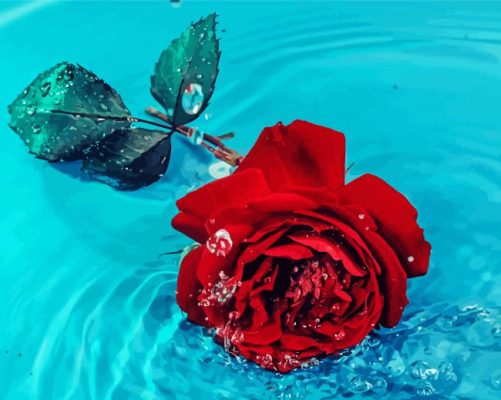 Red Rose On Water paint by numbers