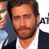 the American Actor jake gyllenhaal paint by numbers