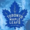 Tornoto Maple Leafs paint by numbers