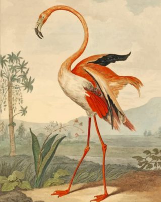Flamingo Bird paint by number