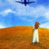 Woman In Field Looking Up At An Airplane Paint by numbers