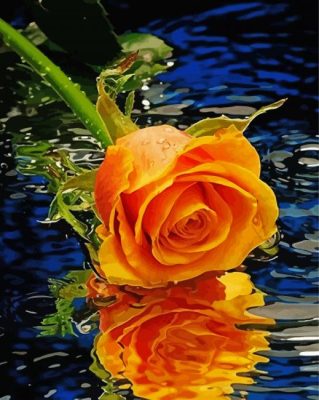 Yellow Rose On Water paint by numbers